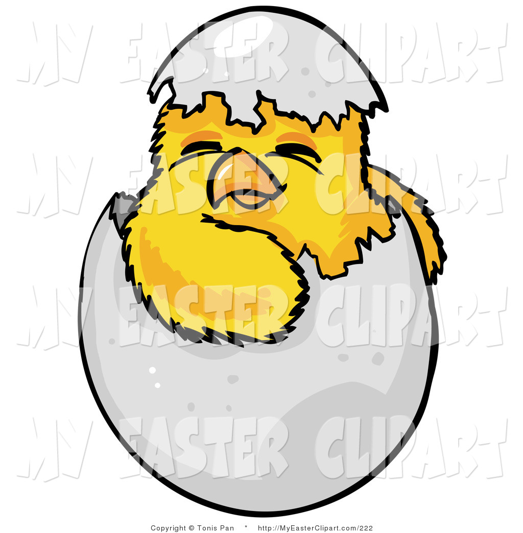 1024x1044 Royalty Free Baby Bird Stock Easter Designs