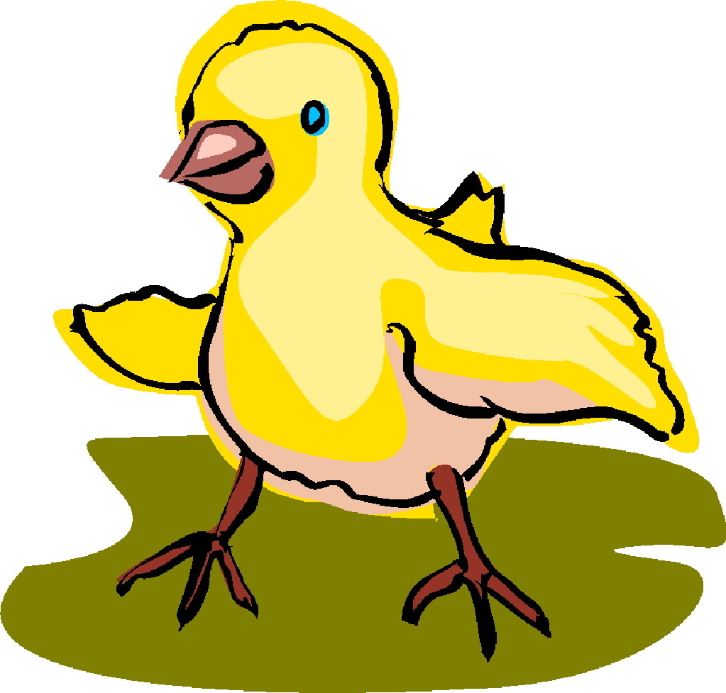 1023x977 Baby Chickens Clipart