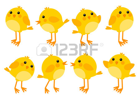 450x318 5,595 Baby Chick Stock Vector Illustration And Royalty Free Baby