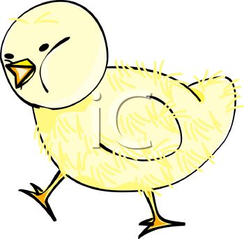 350x342 Picture Of An Adorable Fuzzy Baby Chick Walking In A Vector Clip