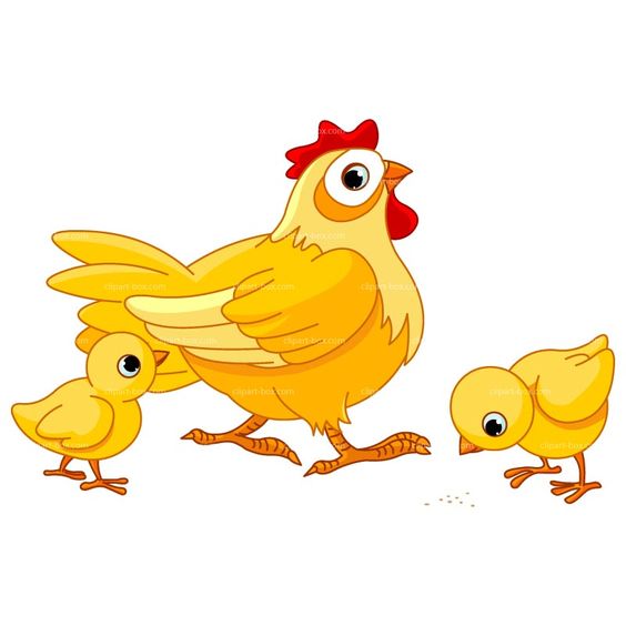 564x564 Cartoon Chicken Clip Art Clipart Chicken Farm Royalty Free