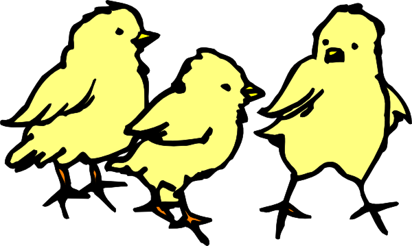 600x359 Chicks Chicken Clipart, Explore Pictures