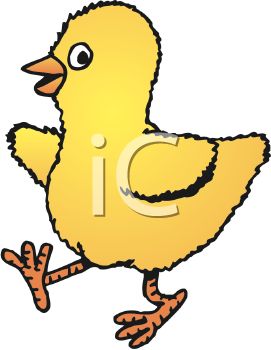 271x350 Picture Of Fuzzy Little Chicken Walking In A Vector Clip Art