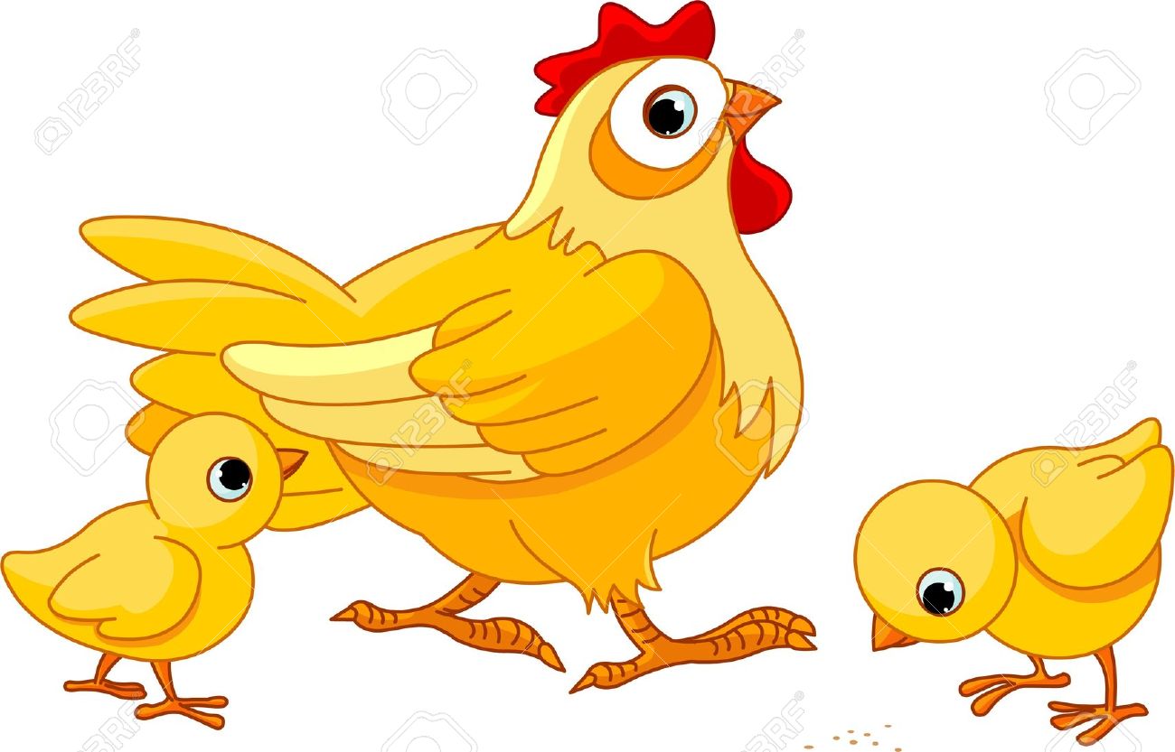 1300x833 Mother Chicken Clipart, Explore Pictures