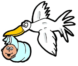 250x212 Stork Clipart Baby Gif