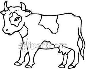 300x242 Clipart Of Cow In Black And White
