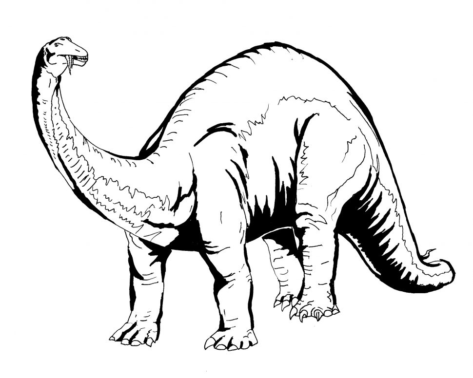 970x776 Coloring Baby Dino Coloring Pages For Kidsdino Sheets Trucks