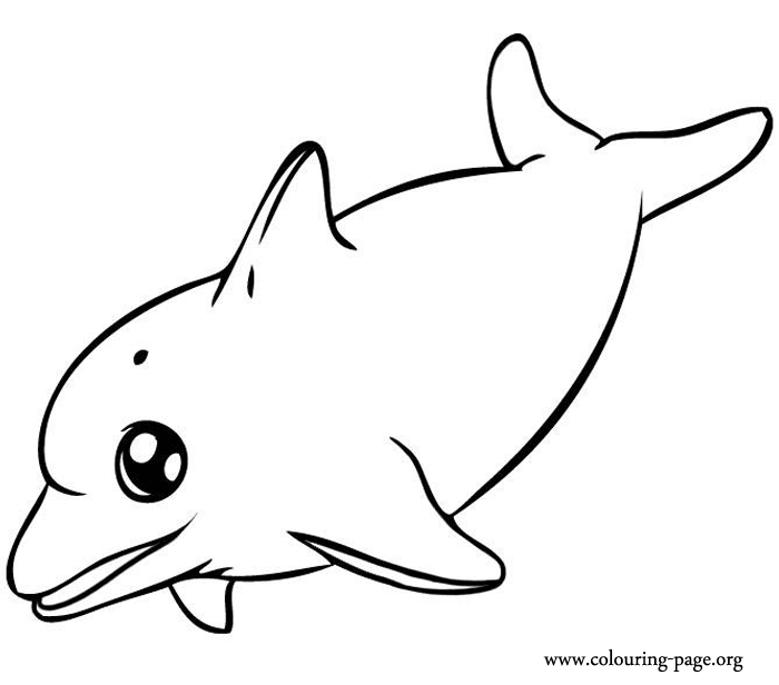 Baby Dolphin Coloring Pages | Free download on ClipArtMag