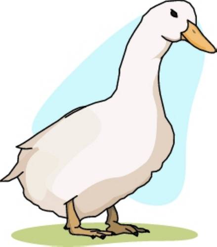 439x500 Baby Duck Clipart