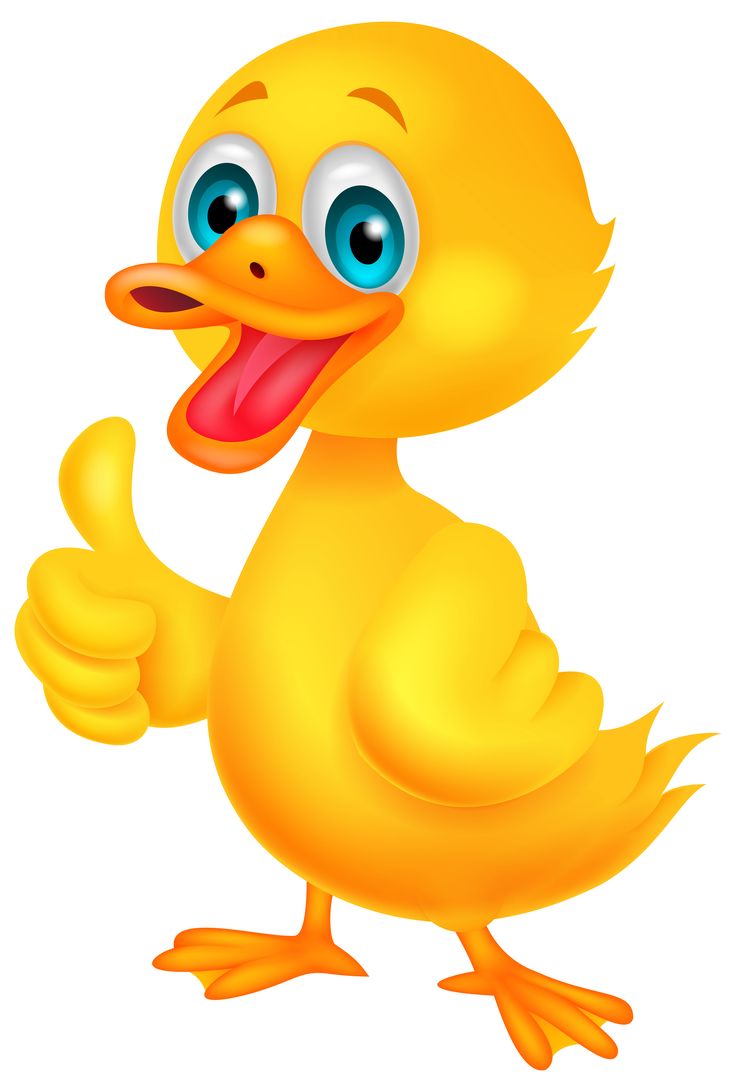 736x1092 Duckling Clipart Funny Duck