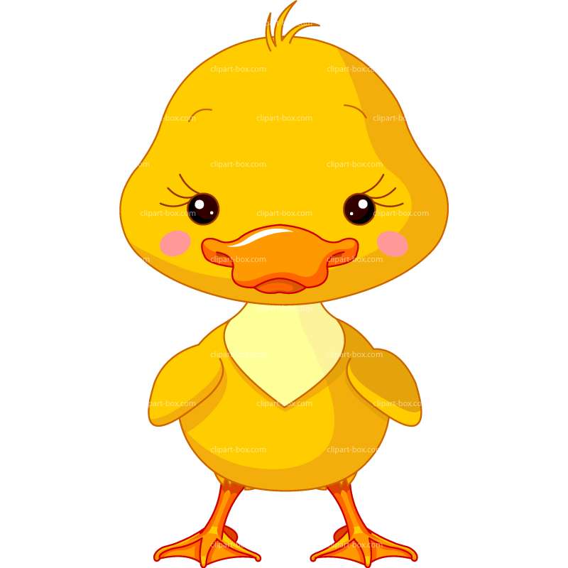 Baby Duck Clipart | Free download on ClipArtMag