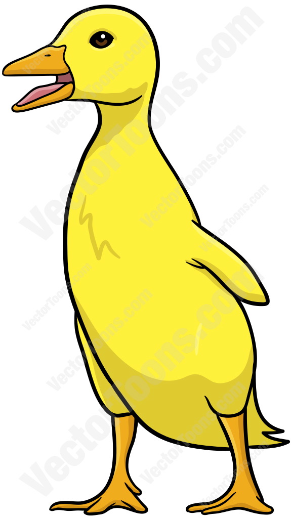577x1024 Yellow Baby Duck Standing With Its Beak Open
