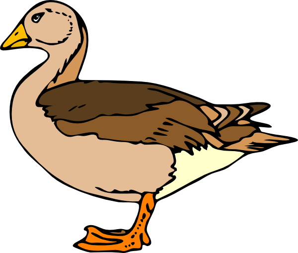 600x509 Duck Clip Art