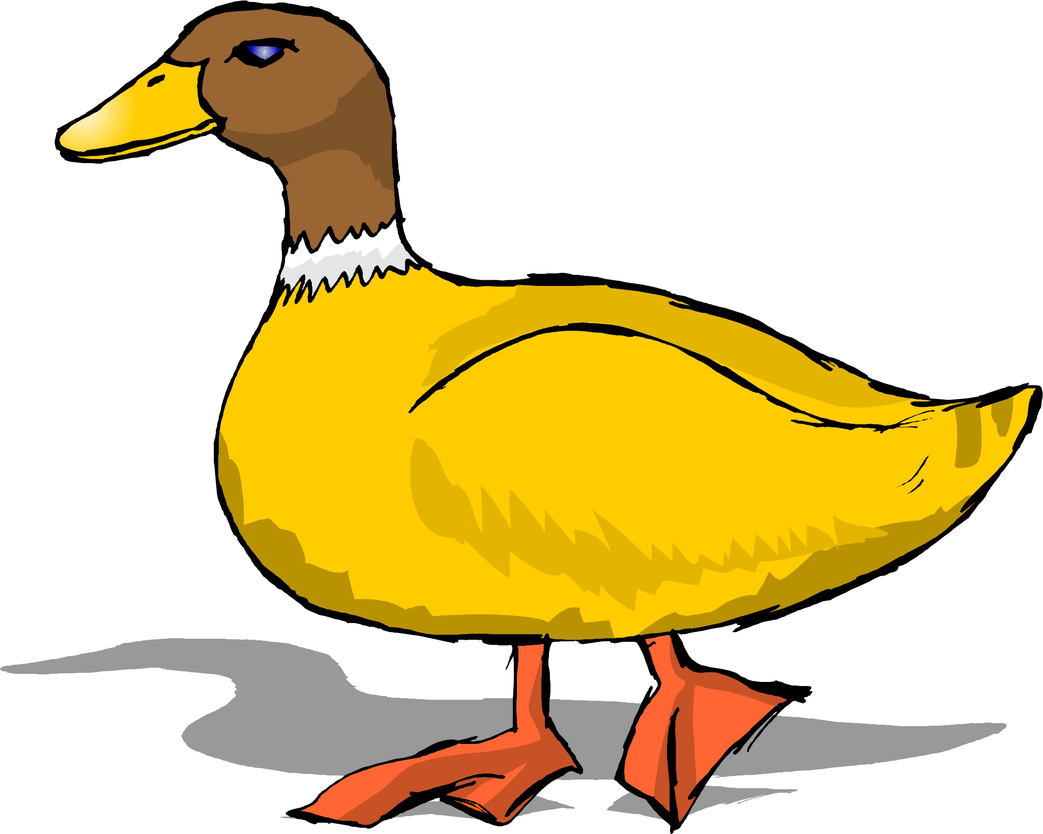2050x1640 Animated Duck Clipart