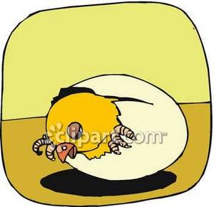 300x291 Baby Duck Or Chicken Hatching From An Egg Royalty Free Clipart Picture