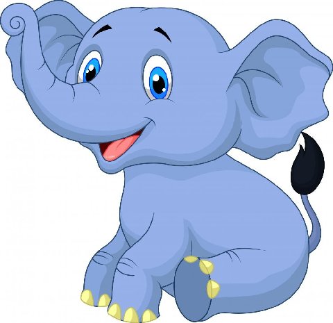 480x465 Big Baby Elephant Cutie Baby Elephants, Babies