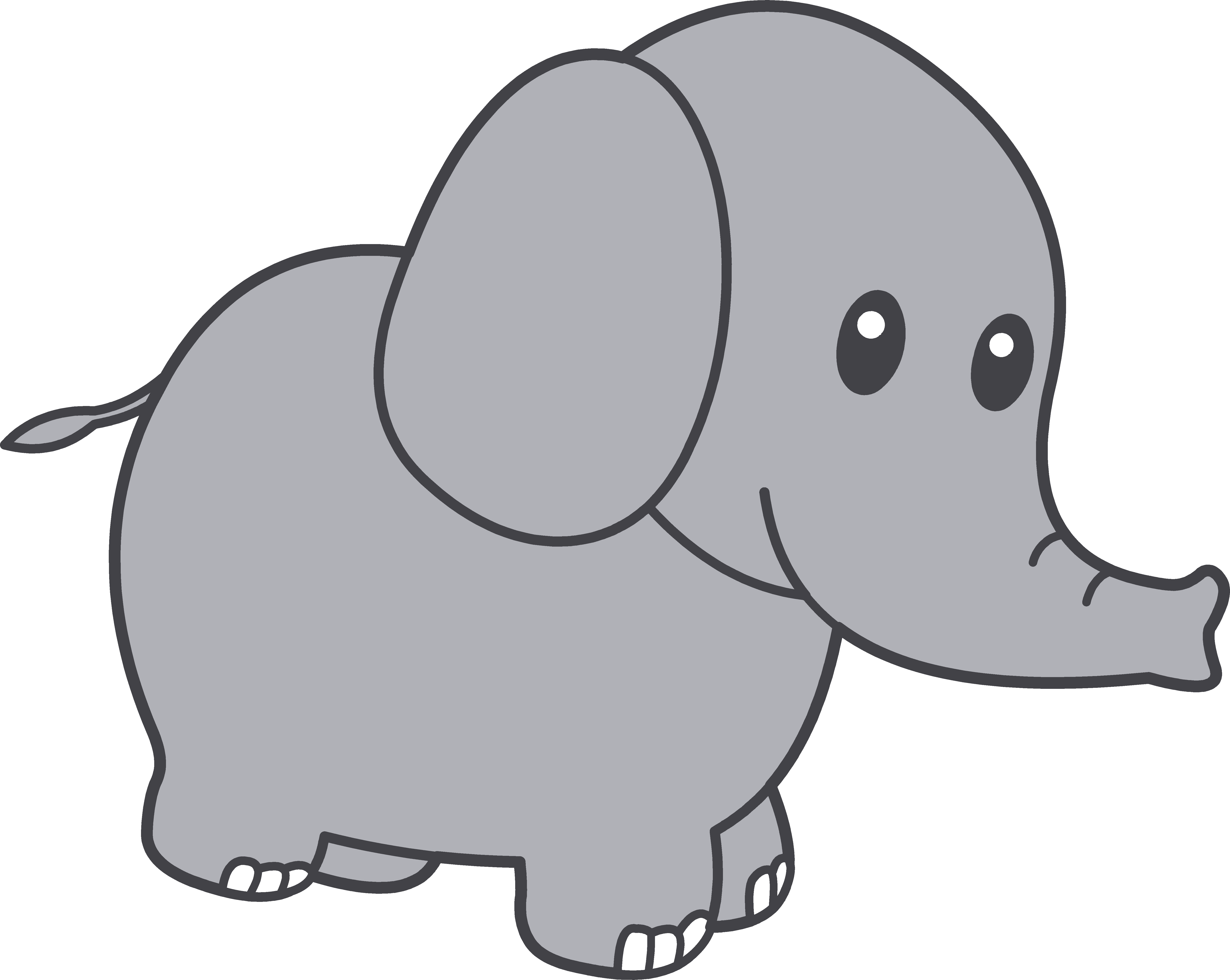 6062x4830 Cute Little Grey Elephant