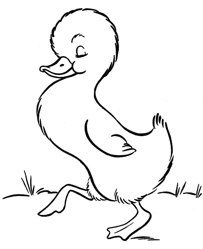 670x820 Best Farm Animal Coloring Pages Ideas Farm
