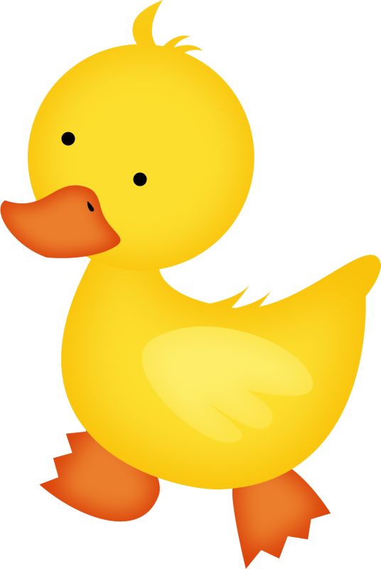 536x800 Farm Animals Clipart Duck