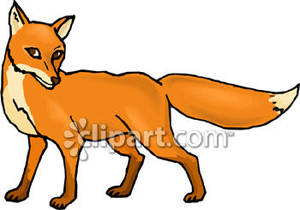 300x210 Top 95 Red Fox Clip Art
