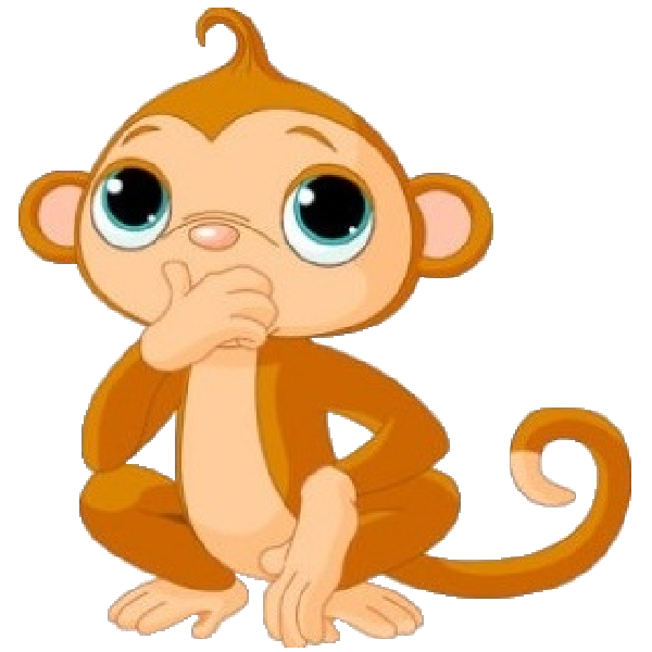 600x600 Monkey Images