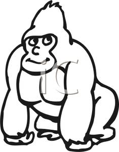 235x300 Art Image Black And White Gorilla