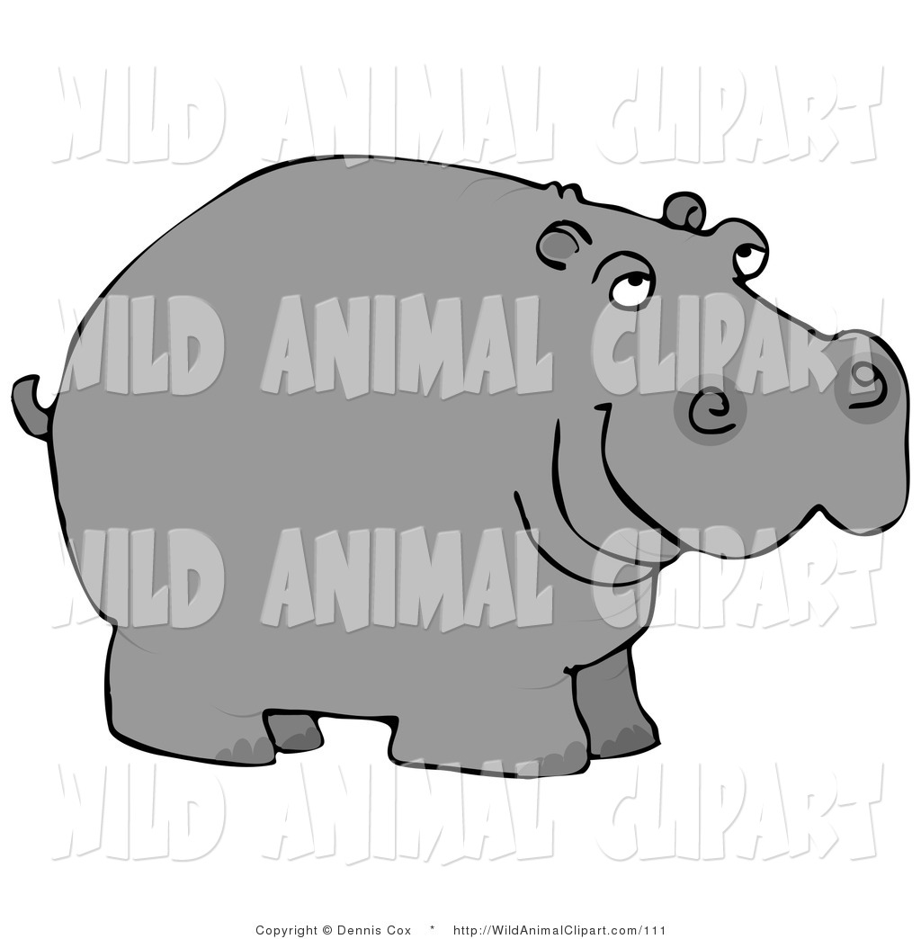 1024x1044 Hippo Clipart Clip Art Of A Wild Hippopotamus On A White