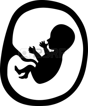 374x450 Illustration Of Fetus In A Womb Royalty Free Cliparts, Vectors