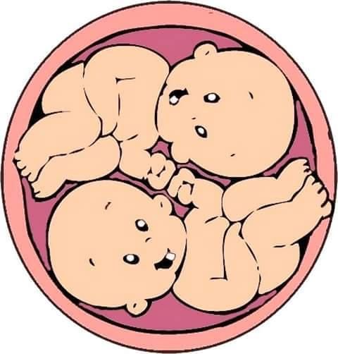 480x502 Imagenes Bebe Buscadas Para Batas Remeras De Maternidad Babies