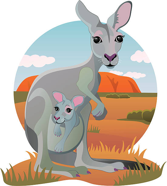 551x612 Kangaroo Clipart, Suggestions For Kangaroo Clipart, Download