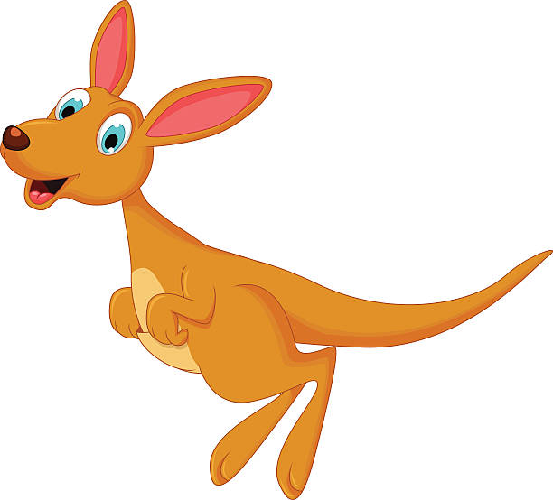 612x554 Kangaroo Clipart Kangaroo Care