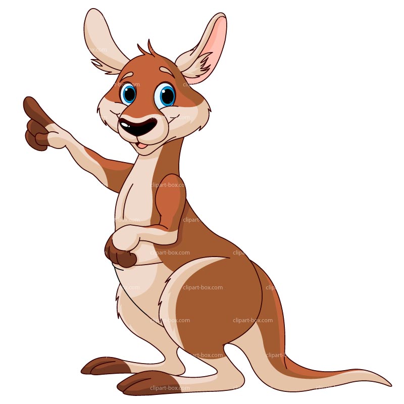 800x800 Clipart Baby Kangaroo Clipartfest
