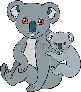 284x320 Koala Stock Vector Colourbox