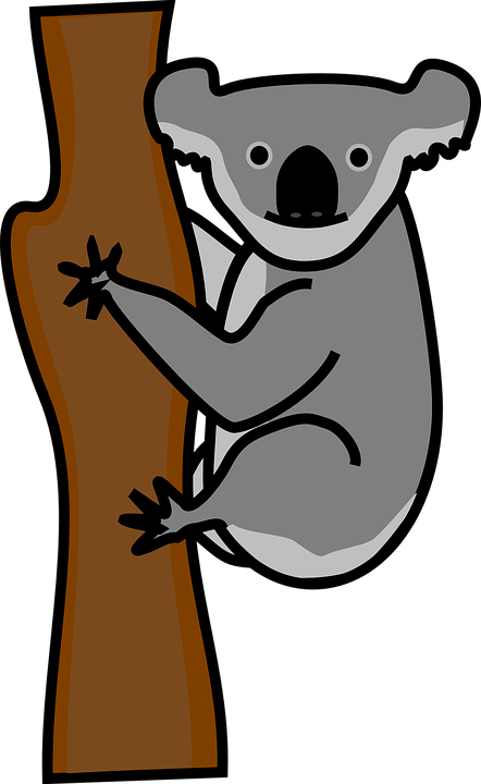 442x720 Koala Clipart Realistic