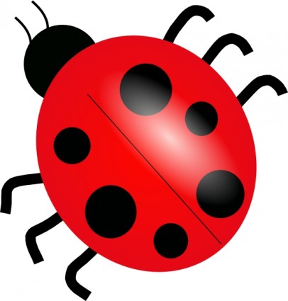 406x425 Drawn Lady Beetle Baby Ladybug