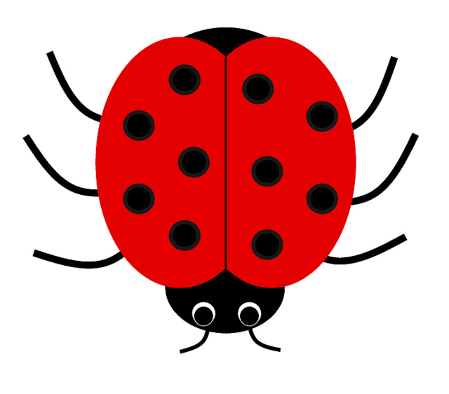 640x562 Ladybug Clipart