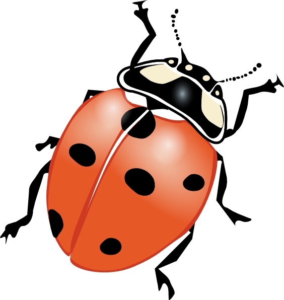 564x596 Ladybugs Clip Art Clipart Collection