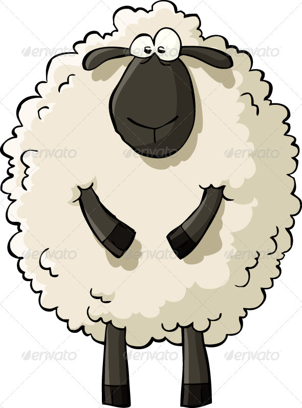 590x798 Sheep Characters, Lambs And Cartoon