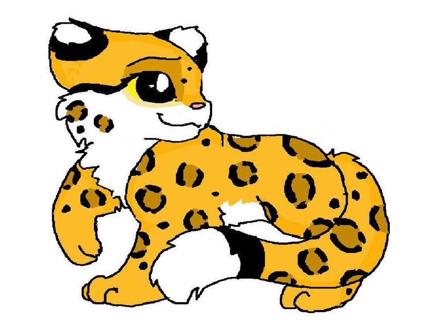 900x646 Snow Leopard Clipart Cute Cartoon