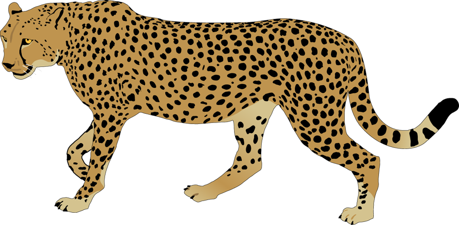900x441 Top 82 Cheetah Clip Art