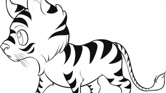570x320 Photos Baby Tiger Drawing,