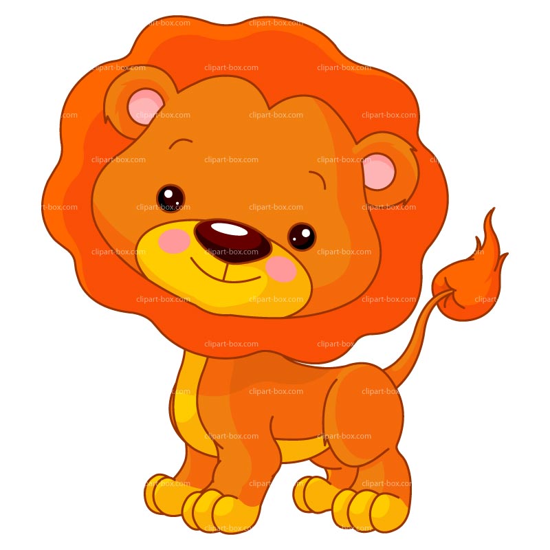 800x800 Cartoon Clipart Baby Lion