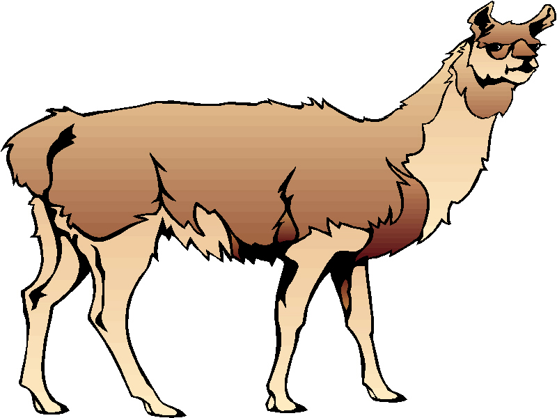 800x600 Llama Clip Art Clipart