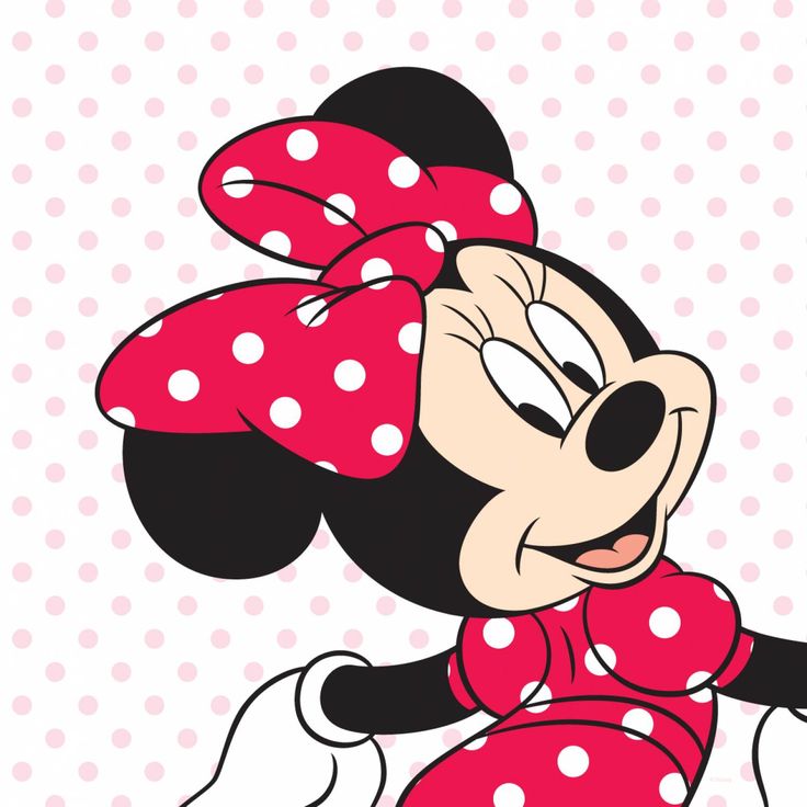 736x736 59 Best Minnie Mouse Images Photo Illustration