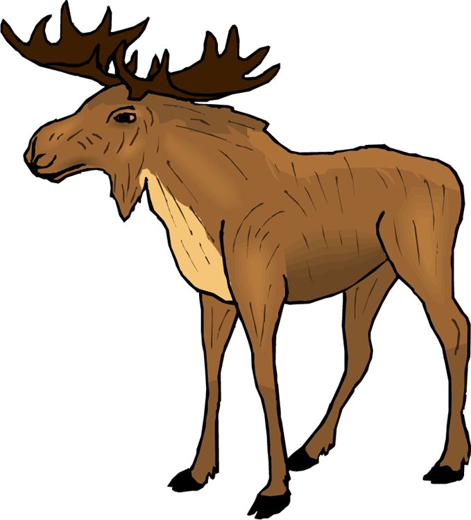 679x750 Baby Animal Clipart Moose