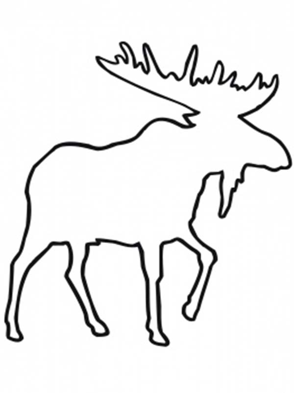 600x802 Trendy Design Ideas Moose Outline Deer Free Saw Patterns Images