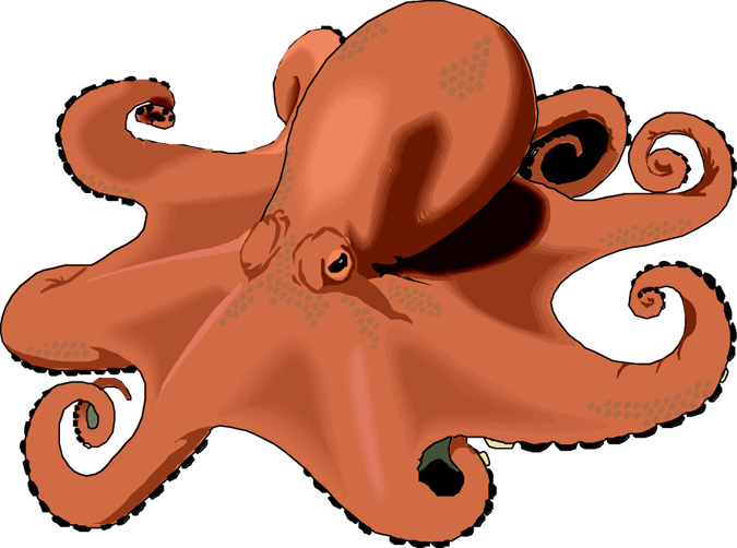 675x502 Clipart Octopus Clipart Image