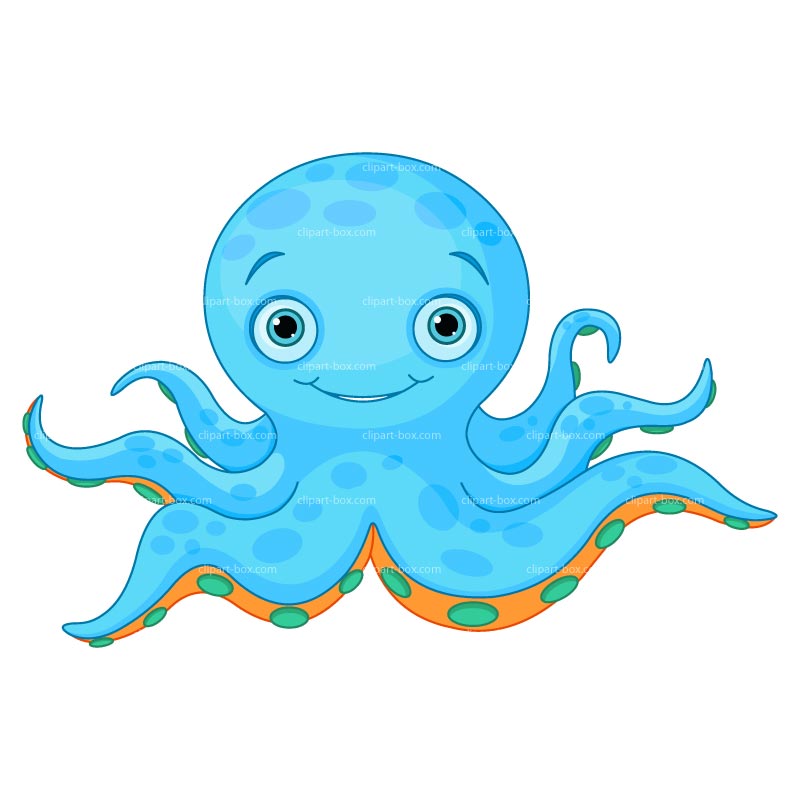 800x800 Octopus Clip Art Images Free Clipart
