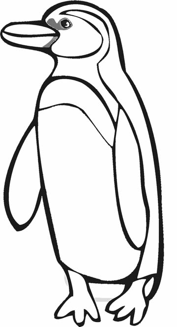 360x665 Penguin Coloring Pages (8)