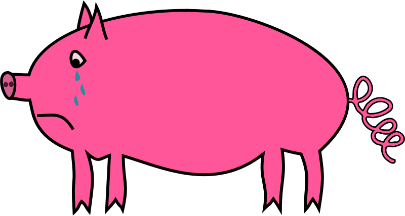 800x428 Baby Pig Clipart